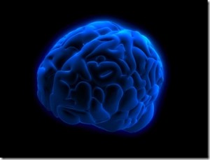A qui appartient le cerveau ?
