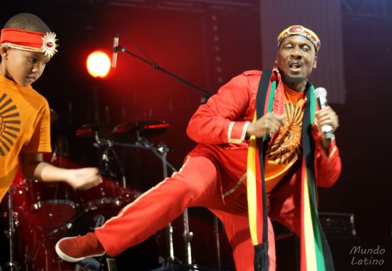 Reggae Night