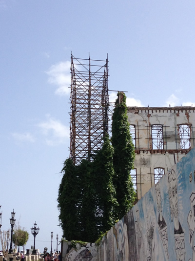 No Pangs of Conscience for Cubans Who &lsquo;Recover&rsquo; &lsquo;Invent&rsquo; &lsquo;Struggle&rsquo; &lsquo;Survive&rsquo;