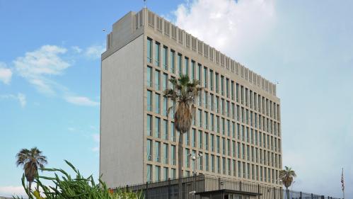 Les "attaques acoustiques" contre les diplomates américains à Cuba pourraient être dues à… des grillons Les "attaques acoustiques" contre les diplomates américains à Cuba pourraient être dues à… des grillons