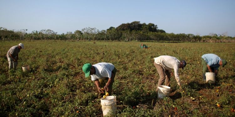 L&rsquo;agriculture étouffée par 63 mesures